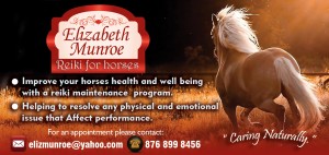 Reiki for horses Ad Edited