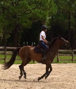  Jordanne riding Pandora Z