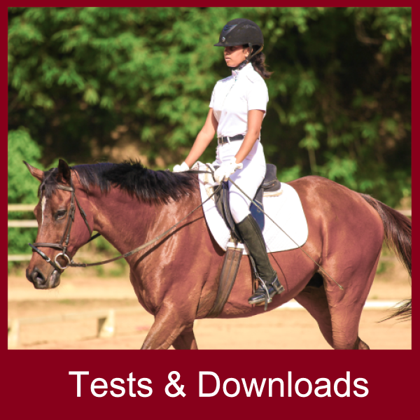 dressage test downloads