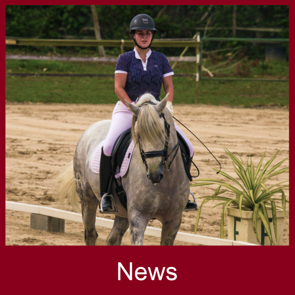 dressage news