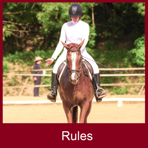 dressage rules