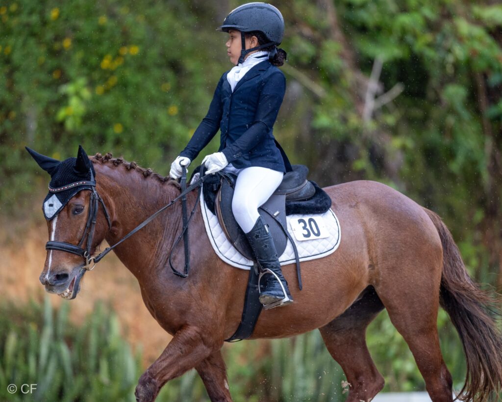 2025 Dressage League 2 Results